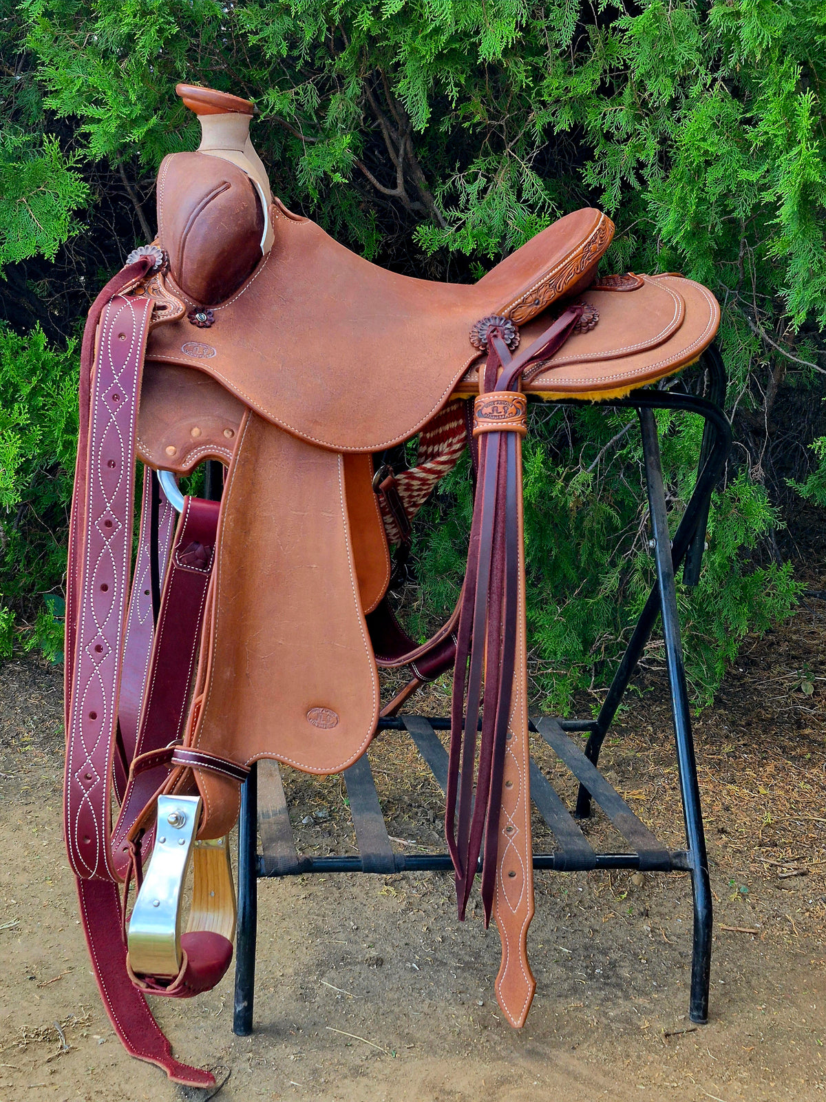 Saddle Olin Young